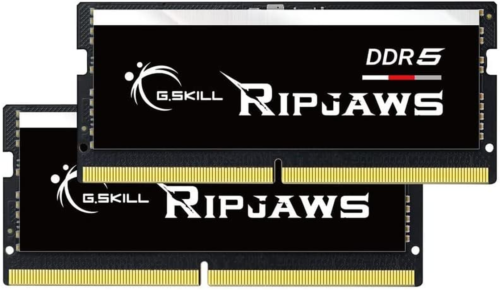 Ripjaws Ddr5 So-Dimm Series 64Gb (2 X 32Gb) 262-Pin Ddr5 4800 Cl40-39-39-76 1.10