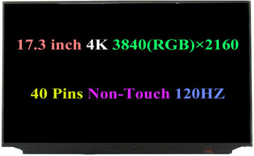 17.3"Uhd (3840X2160) 4K 120Hz Ips Lcd Screen Replacement Led Display B173Zan03.3
