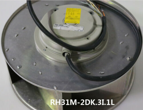 1Pc For  New Rh31M-2Dk.3I.1L