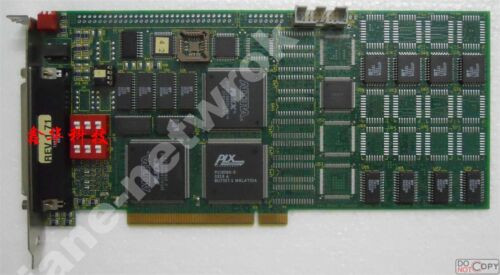 100% Test Road Runner Rev.1.3 R11-1.71-9488 ( Or )