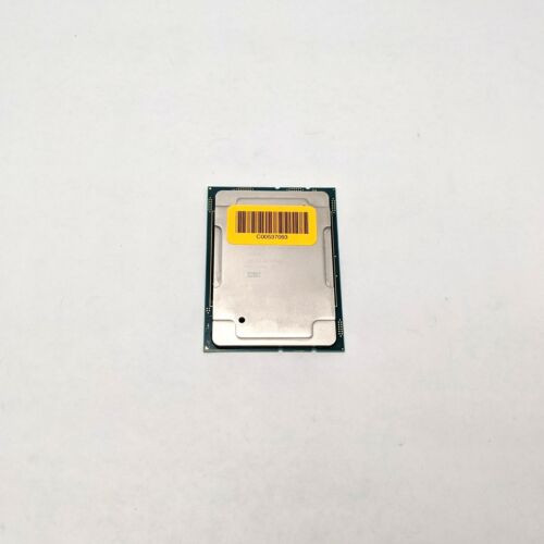 Intel Xeon Gold Cd8069504449601 3.1 Ghz 20 Core Processor Cpu Fclga3647