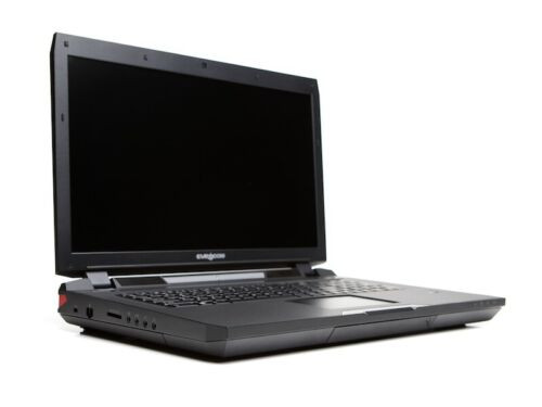 Clevo P377Sm (Eurocom X8 Extreme) -17.3In Laptop W/Ac Adapter No Battery Or Cpu