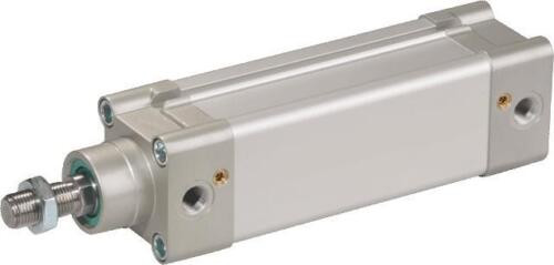 Standard Cylinder Kdi-080-0400-A-Ppv-M-K14-