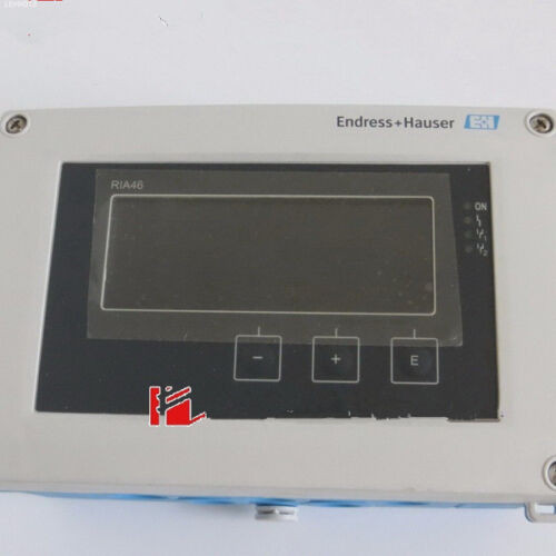 E+H Ria46-A1C1A Used & Testeded   Of Ems