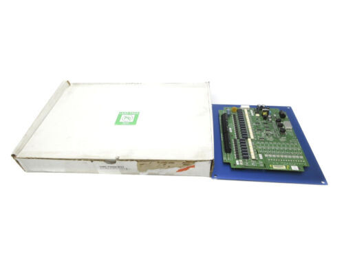 Ametek Dnc-T2020-R20 250V 3.15A