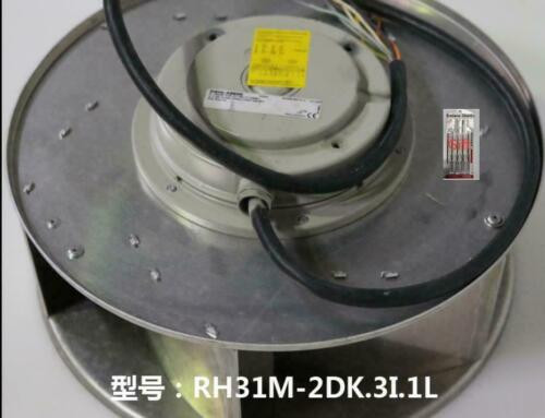 1Pcs  New  Rh31M-2Dk.3I.1L