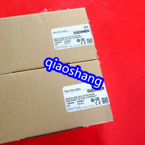 Eks-A-Iixa-G01-St02/03/04 Euchner Ping