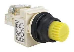 Schneider Electric 9001Sk2L38Lyyh13 Illum Push Button,30Mm,1No/1Nc,Yellow G63739