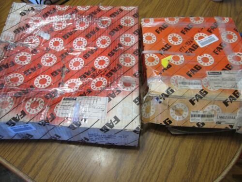 New Fag Nnu4944S-M-Sp Nnuz4944-Sp-F12 Roller Bearing Set