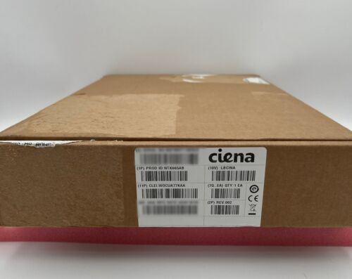 Ciena Ntk665Ab Pkt/Otn I/F 100G Circuit Pack (We Buy Ciena!!!)