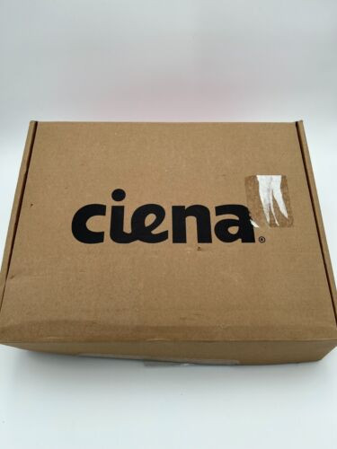 Ciena Ntk667Ab Pkt/Otn I/F 100G 10X Xfp Circuit Pack (We Buy Ciena!!!)