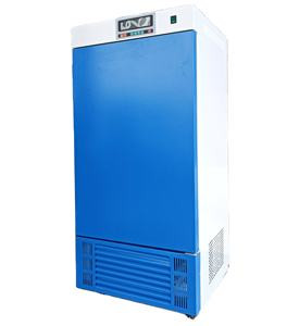 Multifunctional Incubator Laboratory Biological Indicator Incubator 220V for Bacteria Cultivation