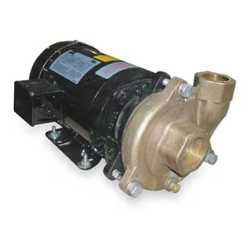 Dayton 2Zwt5 Bronze/Brass 2 Hp Centrifugal Pump 208-230/460V