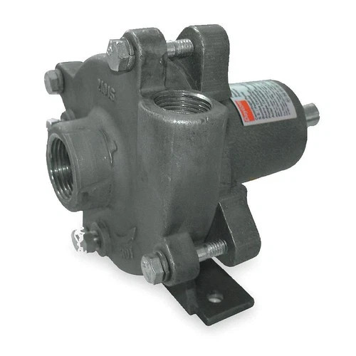 DAYTON 2ZWY8 Pedestal Pump,Stainless Stel,HP Req. 1/3 2ZWY8