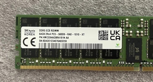 SK Hynix 64GB 2Rx4 PC5-5600B-RA0-1010-XT Server Memory RAM (HMCG94AGBRA181N)