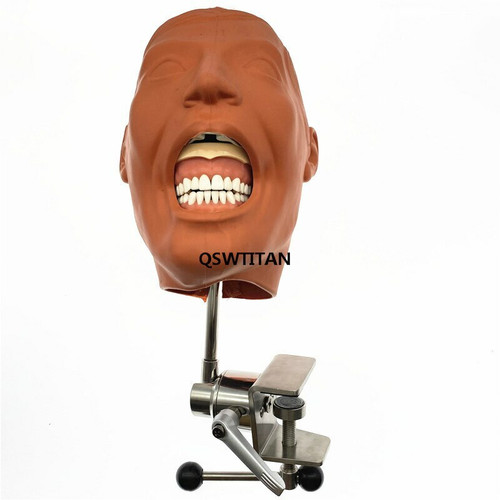 Dental Simulator Nissin Manikin Phantom Head Model With New Style Bench