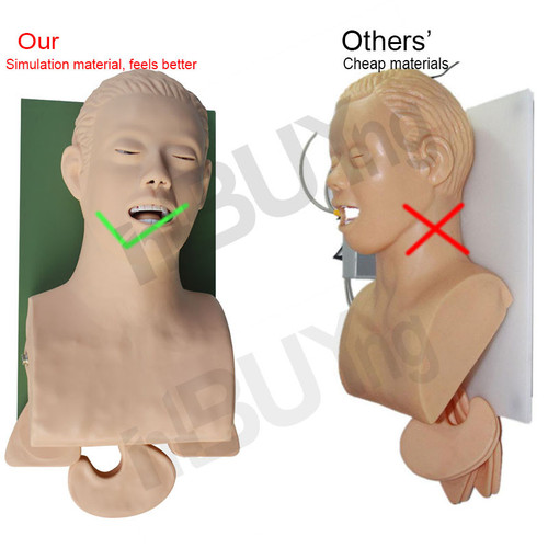 New Teaching Model Airway Management Trainer Intubation Manikin Study for