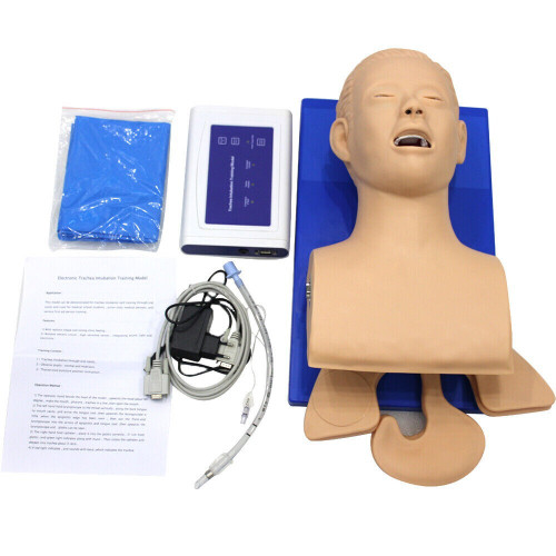 New Intubation Manikin Study Teaching Model Airway Management Trainer PVC