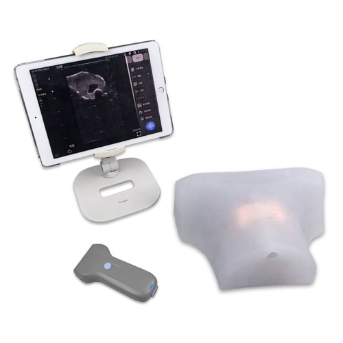 New Thyroid Ultrasound Training Model - Ultrasound-Guided Biopsy Practice