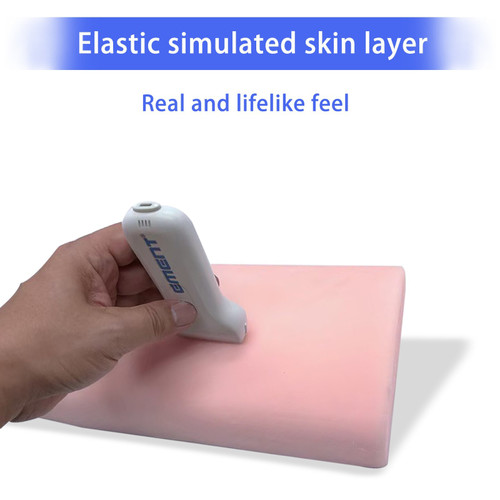New Ultrasound Guided Nerve Block Puncture Model, Ultrasound Puncture Train