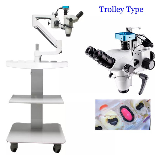 New Dental Trolley Type Root Canal Therapy Operating Microscope with Camera