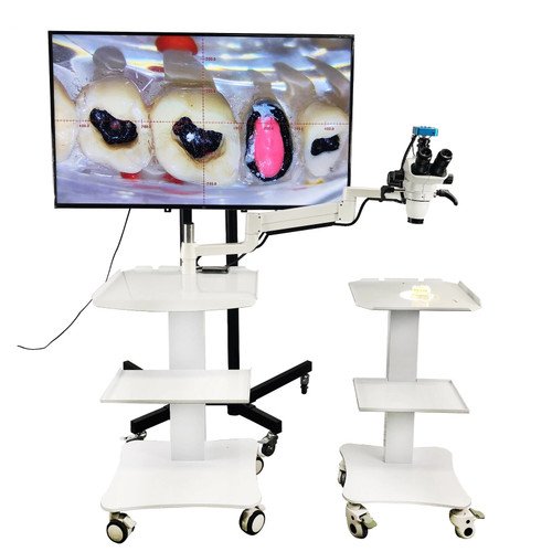 New Dental 10X Operating ENT Stereo Binocular Microscope with Camera and