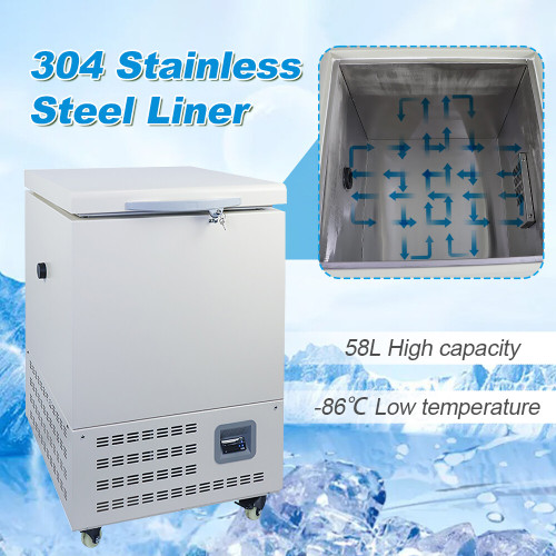 New 58L Ultra Low Temperature Deep Freezer For Laboratory Chest Freezer