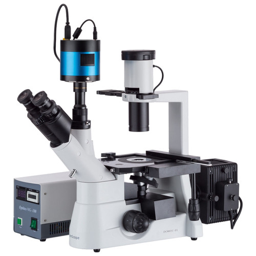 New AmScope 40x-400x Inverted Plan Fluorescence Microscope CCD Low-light