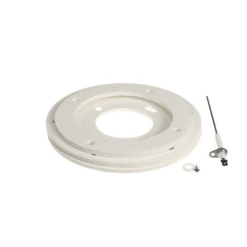 New AO Smith 100113151 Flame Sensor Rod Kit Replaces 9006106205 - Product Image