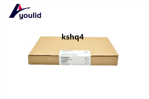 1PC Siemens 6dd1607-0aa1 Vrapid Delivery - Advanced Control Module