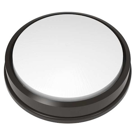 LUMINAIRE LED Vandal and Ligature Resistant Fixture - ARV13 MIN10 25W 40K MVOLT OP BRZ
