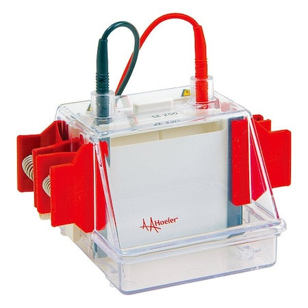 HOEFER Protein Electrophoresis Unit,16 1/2 Cm L - SE250-10A-1.5