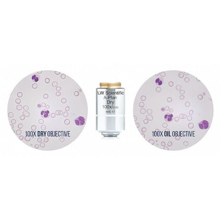 LW SCIENTIFIC Objective,infinity Plan Dry,100x,sealed - MSO-100X-IPDR