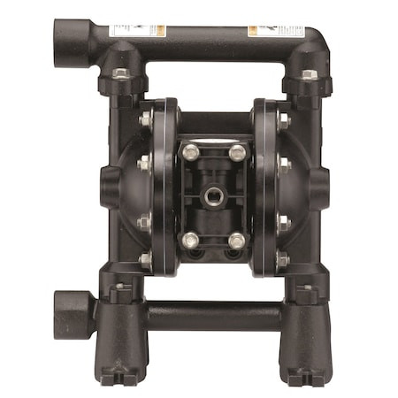 ARO Diaphragm Pump,13.6 Gpm,stainless Steal/ - PD07R-AAS-STT