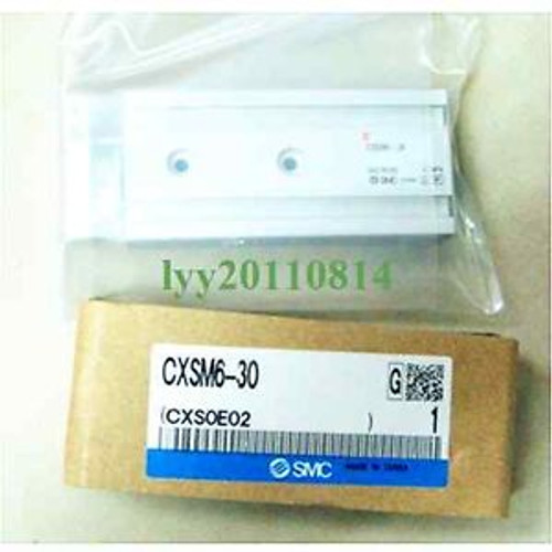 NEW SMC CXSM6-30 PLC