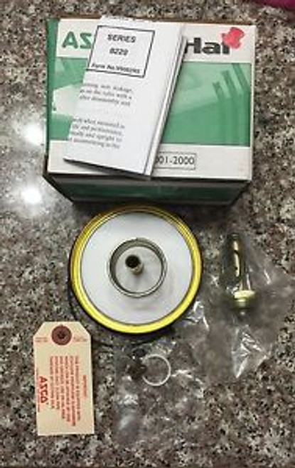 ASCO Red-Hat 306807 Rebuild Kit