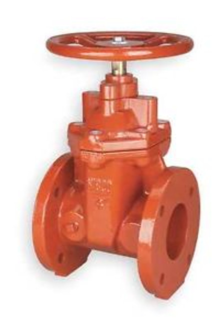 NewCO F619RW 2 Gate Valve, Class 125, 2 In., Flange