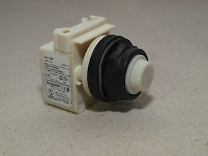 Schneider Electric 9001SKP1W31 Harmony??û Pilot Light Standard 120 Volt AC White