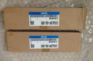 1Pc SMC double rod cylinder CXSJL10P-100-XB11 CXSJM10-100