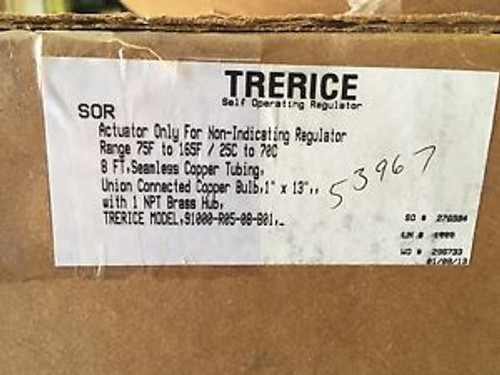 New In Box ~ TRERICE Self Operating Regulator 91000-R05-08-B01