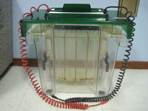 Bio-RAD Protean ?« II xi Vertical Electrophoresis Cell ~ !