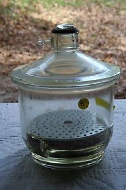 Pyrex large glass desicator