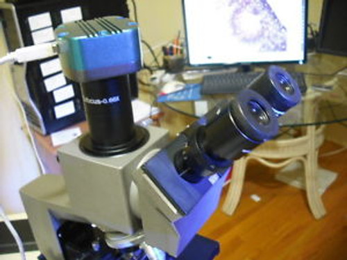0.66x Olympus Exfocus adapter + 5.0MP Microscope camera  MX CX CX2 BX BX2 Meas