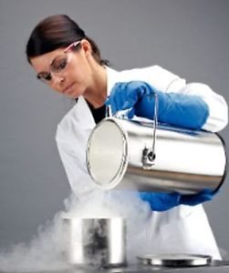 Thermo 2L Thermo-Flask Benchtop Liquid Nitrogen Container, 2123