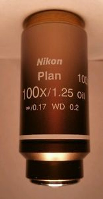 Nikon Plan 100x / 1.25na Oil 0.17 WD 0.2 infinity corrected microscope objective