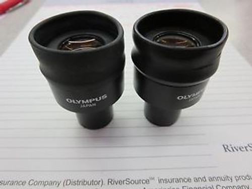 Olympus WK 10X/20L Eyepieces pair 8501B