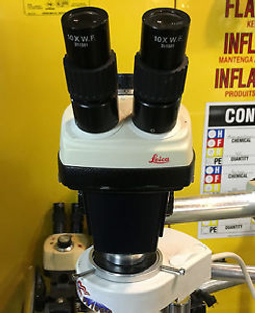 Leica Stereo Zoom 4 Microscope