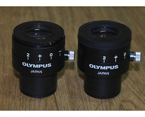 Olympus GWH10X-CD Eyepiece Pair