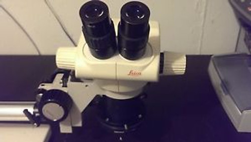 Leica GZ6 Microscope