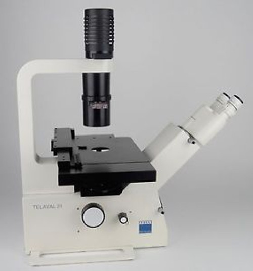Zeiss Telaval 31 Inverted Phase Microscope